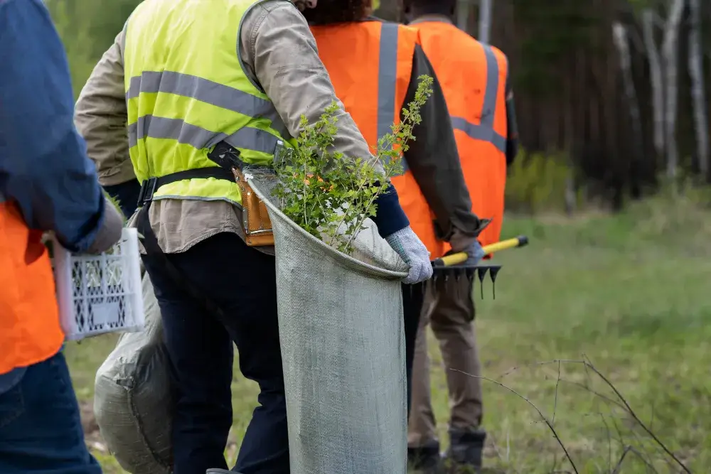 Metsänhoitoa Kymenlaakso